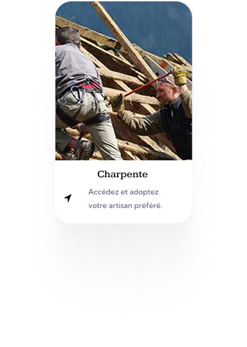 Frame 15